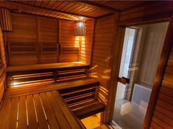 sauna-przeszklona